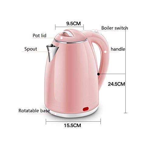 Bouilloire en acier inoxydable violet de qualité supérieure avec isolation