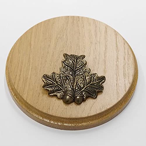 GTK Offre Plaque Ronde en chêne Clair AF 13 cm, Planche à armer, Planche à armer, Plaque de trophée avec Feuille de Couverture en chêne