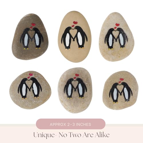 Wedding Anniversary Penguin Pebble Gift - Years Down, Forever to Go” Card & Happy Anniversary Box – Unique Gift for Husband, Wife, Boyfriend, Girlfriend – 1st 10th 25th 50th