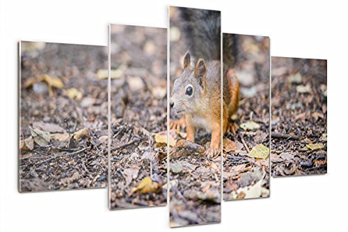 Impression Image Décoration Murale Tableau écureuil triptyque 5 pcs - 2