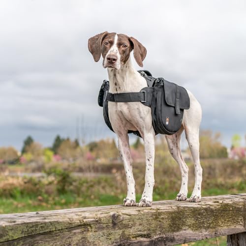 Dog-Backpack-for-Medium-Large-Dogs-Nylon-Backpack-for-Dogs-Pet-Backpack-with-Side-Pockets-for-Hiking-Walking-Disc-Golf-Training-Running-Black