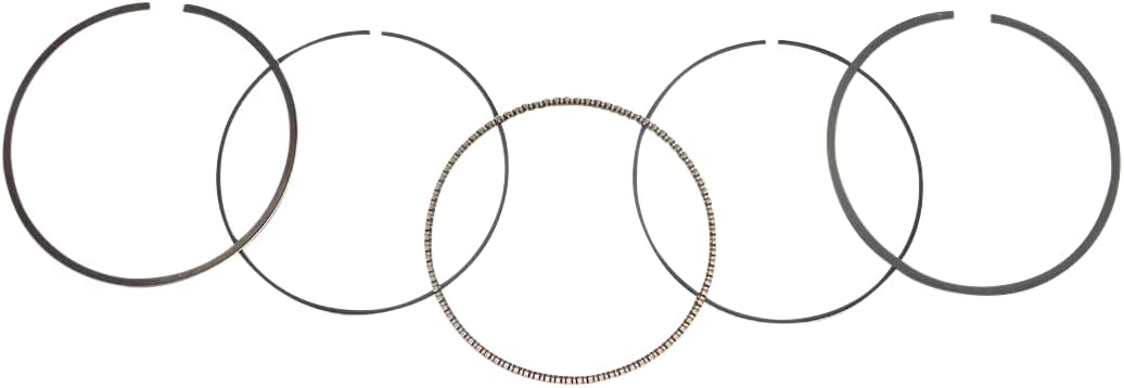 WSM Piston Ring Set 51-230-04