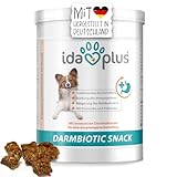 Ida Plus