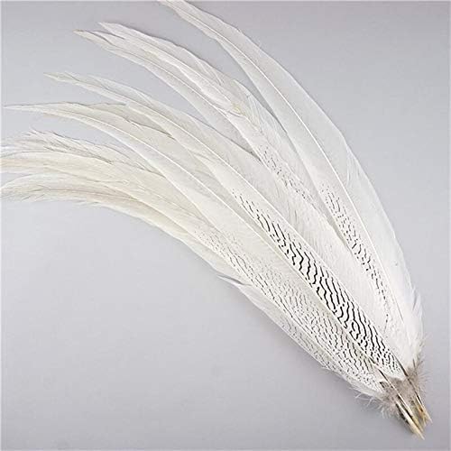 Jeniorr Natural White Pheasant Tail Feathers for Crafts 20-80cm Large Long Silver Chicken Feather Plumas Carnaval Plume Christmas Party Wedding Clothes Decoration Decor - 30 Piece