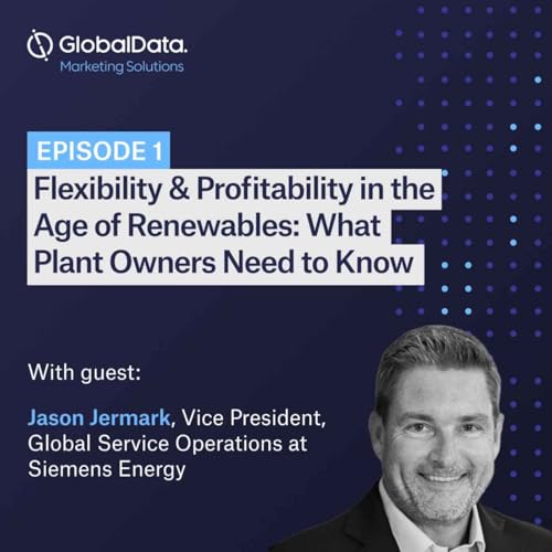 Flexibility & Profitability in the Age of Renewables: What Plant Owners Need to Know
