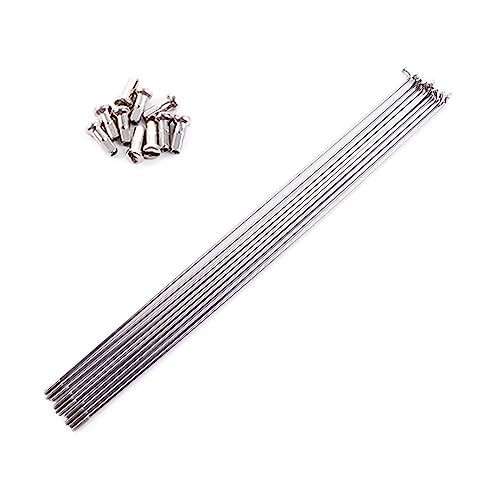 Rayons de vélo 14G acier inoxydable avec embouts pour VTT