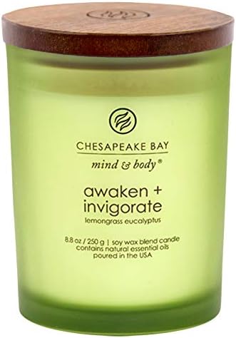 Chesapeake Bay Candle PT40886 Scented Candle, Awaken + Invigorate (Lemongrass Eucalyptus), Medium , Green
