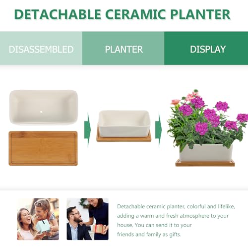 Pots de fleurs succulentes en céramique avec plateau, idée cadeau - 4