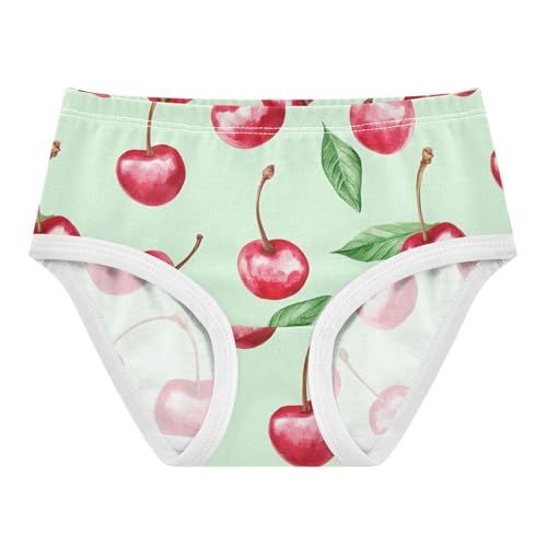 Wusikd Watercolor Cherries Girls' Underwear Cotton Girls Briefs Soft Toddler Underwear 2T