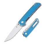 Kizer Domin 2.87 inch Mini Pocket Knife Blue G10 Hnadle and N690 Blade Folding Knives for Outdoor...
