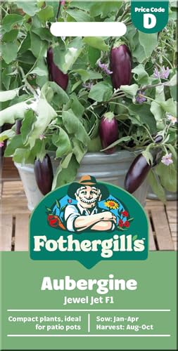Mr Fothergill's Aubergine 'Jewel Jet F1' Seeds for Planting UK– Compact Patio Plant – Up to 20 Fruits – Ideal for UK Grow Bags & Containers – Average 10 Aubergine Seeds - Vegetable