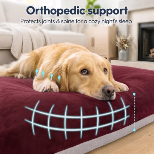 Image of Magic Dog Orthopedic Medium Dog Bed 32 Inch, Super Soft Small Pet Bed