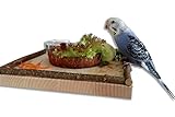 Schöne Naturholzbordüre zum Einkrallen