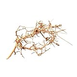 WabiFlur - Natürliches Tiny Holz für Aquarium Zwerggarten und Terrarien - Schafft einen Wilden und einzigartigen Ambinete, Größe Medium Einzelstück 15-20 cm