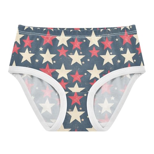 GuoChe Panties All Seasons Panties Briefs Underwear for Kids in Sizes 2T,3T, 4T, 5T, 6Y and 8Y