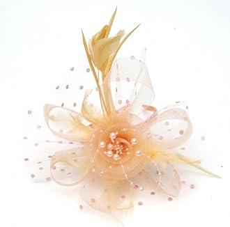 Fascinators Hats 20s 50s Pillbox Hat Cocktail Tea Party for Women (Champagne, One Size)