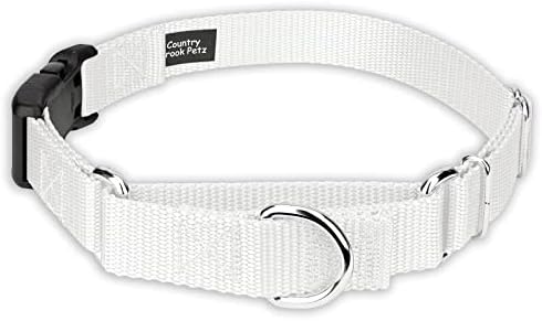 Country Brook Petz - Made in The USA - Durable Nylon Martingale with Deluxe Buckle - 30+ Vibrant Color Options (White, 1 Inch, Medium)
