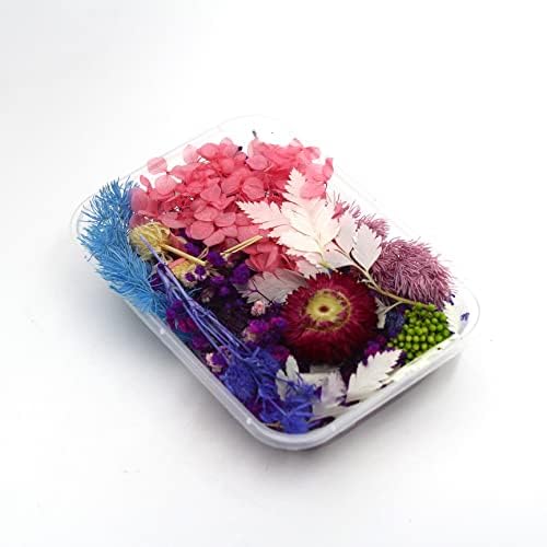 Epoxity Natural Real Dried Flowers for Art Craft - Mixed & Multicolor for Soap, Artificial Candles, Scrapbooking, DIY, Resin Jewelry, Pendant - [1 Set of Box] Multicolor-image-26