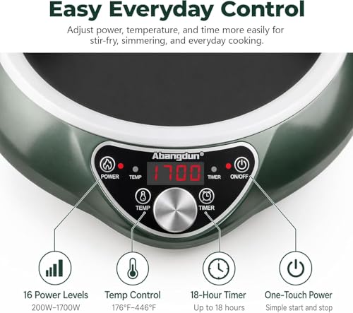 Image of Induction Wok Cooktop Induction Burner 1700W /85V~120V Electric Wok Curved Surface Electronic Cooker Concave Stoves