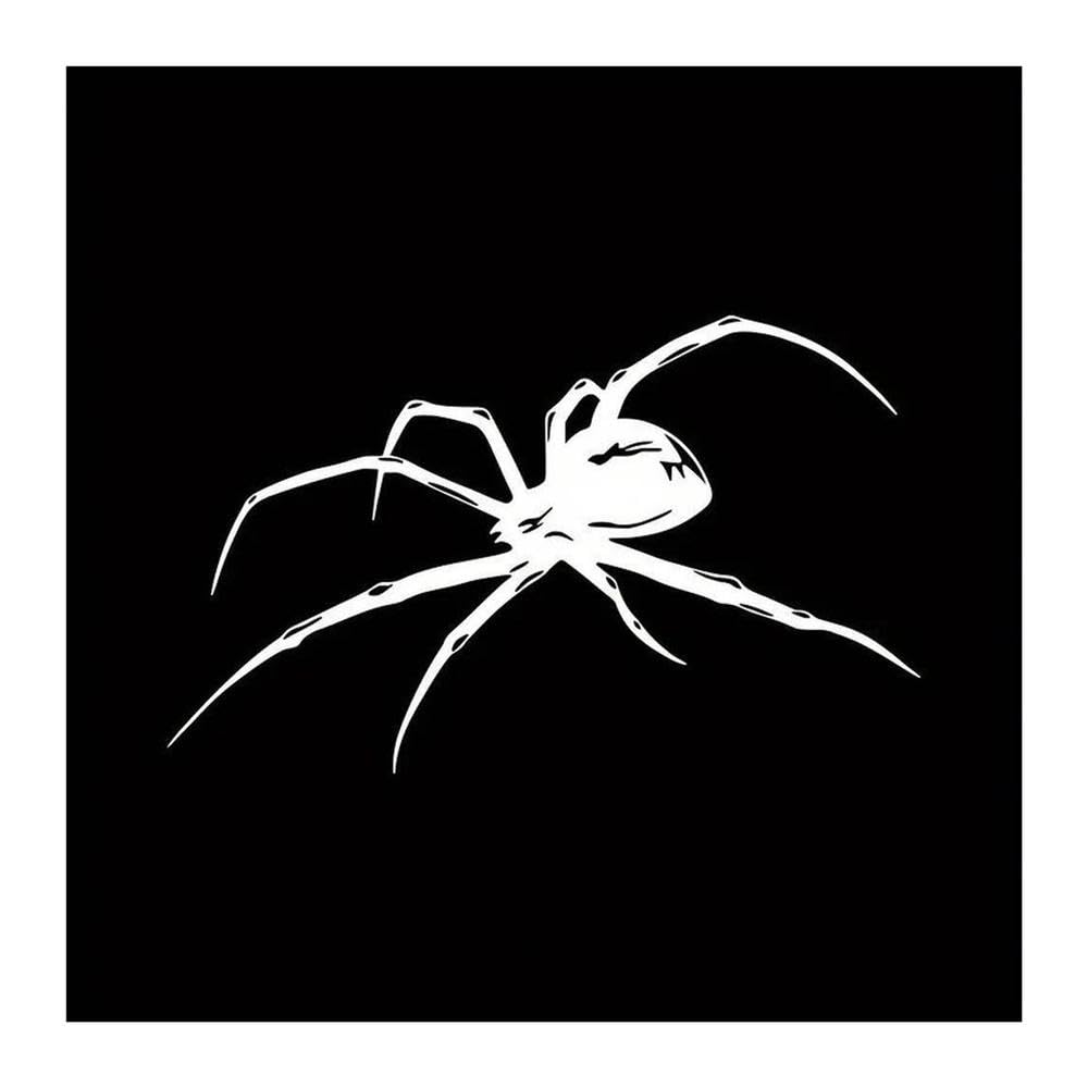 Car Body Spider Vinyl Wrap Window Bumper Truck Decal(White,L 28cmX12cm)