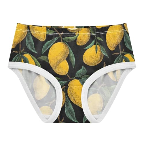 Wusikd Mango Girls' Underwear Cotton Girls Briefs Soft Toddler Underwear 2T