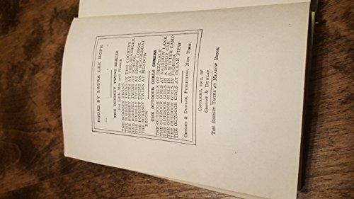 The Bobbsey Twins At Meadow Brook B00JYJ44E6 Book Cover