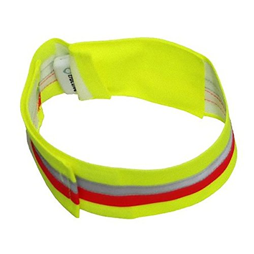 WaidWerk Hundehalsband Fix mit GPS-Tasche (60, 60) Cover