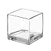 Royal Imports Flower Glass Vase Decorative Centerpiece For Home or Wedding by Clear Cube Shape, 4" Tall, 4"x4" Opening