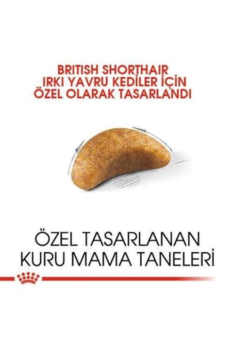 Royal Canin Kitten Food - British Shorthair Complete Food 2Kg product thumbnail 3