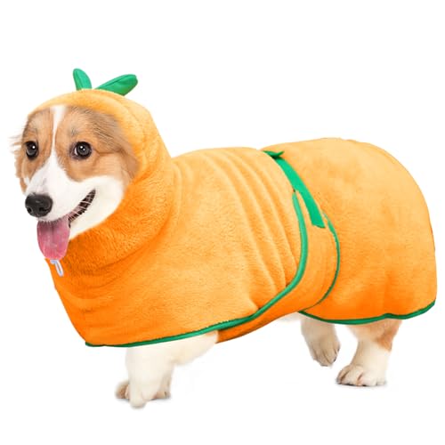 Hundekostüm Kürbis - Halloween Outfit Mit Hut Für Welpen & Hunde