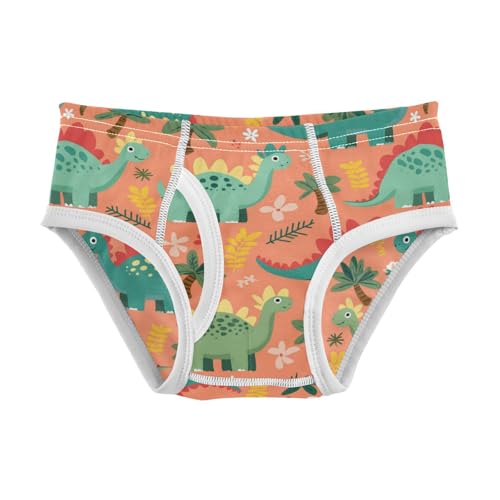 Wusikd Cute Dinosaurs Boys' Underwear Cotton Palm Trees Flowers Boys Briefs Soft Toddler Underwear 2T