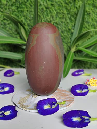 Image of 4 Inch Rudra Narmadeshwar Shiva Linga Banalinga Shiva Lingam for Pooja Small Lingam for Home Worship Puja Articles Lingam for Meditation & Prayer (4 Inch Lingam)