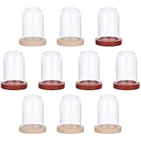 NBEADS 10 Juegos de Mini Zuecos de cúpula de Cristal de Flores