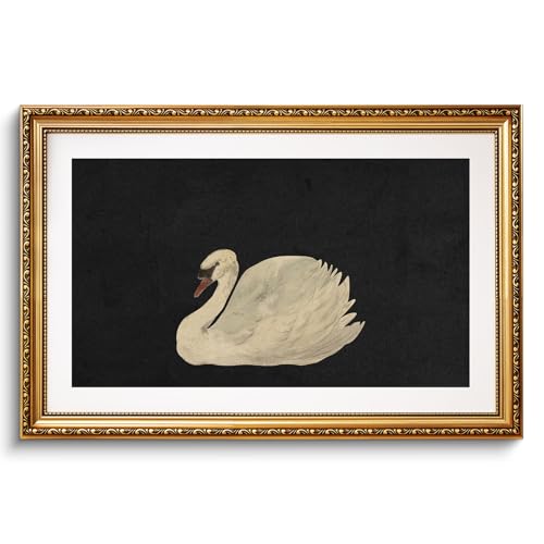 VIYYIEA Gold Framed Large Swan Decor Wall Art Canvas...