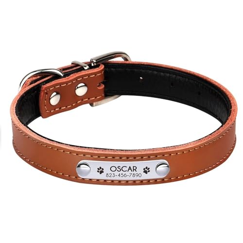 IDt̃p[\iCYꂽ\Ȋvqq̎֔ԍ^ONAMEPLATE SHIBA INU POODLE CHIHUAHUA PUG,F,s