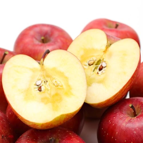 Ƃǂ ō XY n Tӂ  ԏG  ̂Ή\ (10kg)