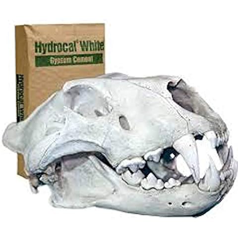 Hydrocal Plaster for Scenery, Dioramas, Dentistry and Mold Casting Plaster Resealable Bag Great for Model Railroads (10 Pounds) Cover