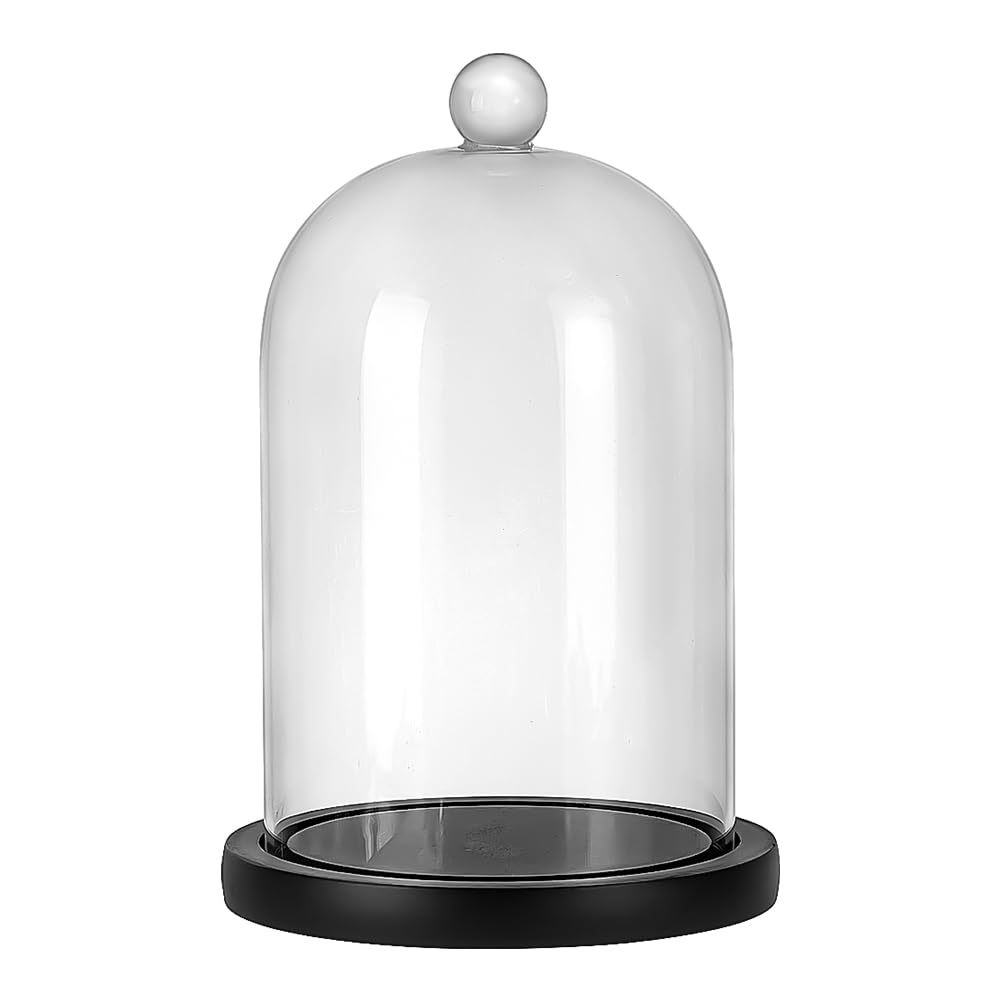 Bocal à cloche en verre anti-poussière pour protéger figurines et plantes fragiles