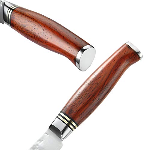 Yarenh Serrated Bread Knife 8 inch,Japanese Super 67 Layers Damascus Steel Kitchen Knife,Dalbergia Wood Handle,Gift Box Packaging,Professional Chef's Knives HTT-Series