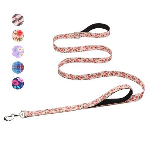 Hikiko Double Handle Dog Leash 6 Foot Cute Girl Padded Traffic Handles for Walking Training (Cream Natural Floral, 6ft)