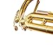 Aurosus bb trumpet 6331 brass b flat trumpet for beginners and intermediate players copper leadpipe gold lacquer finish stainless steel valves phosphorus hard case and accessories included