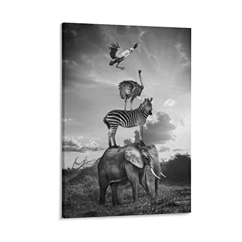 AKNBFIBN �A���e�i �~���[�W�b�N �V�X�e�� �����T�E���h ���W�I �X�e���I ���V�[�o�[ FM ���W�I �A���e�i 3.5mm �v���O �A�N�Z�T���[