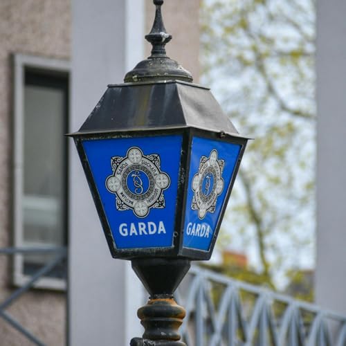 Gardai and the use Artificial Intelligence