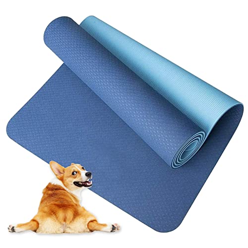 LAZY LADY TPE Tappetino da Yoga, con Superfice Antiscivolo, per Fitness/Pilates/Ginnastica/Aerobica, Cinturino, Tappetino Arrotolabile (Blu Set)