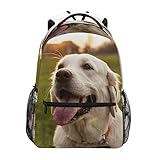 retrieverschule stockerau Tasche & Funktional: Dieser Rucksack bietet mehrere Taschen für Aufbewahrung und bequeme Organisation. Das Hauptfach beinhaltet 4 kleine Innentaschen. Zusätzlich zu seinem geräumigen Hauptfach verfügt der Rucksack über 1 Fronttasche für Ihre Schlüssel, Stifte oder andere kleine Gegenstände, 2 Seitentaschen für Regenschirm oder tragbare Flasche.