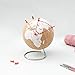 SUCK UK Blanco Globo Terráqueo Pequeño | Bola del Mundo De Corcho...