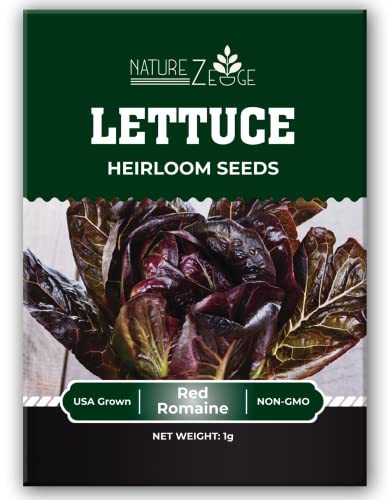 Lettuce Seeds For Planting, Red Romaine Lettuce, Bibb Butter Lettuce, Black Seeded Simpson, Green Ice Iceberg Lettuce, Non-Gmo… #TOP1