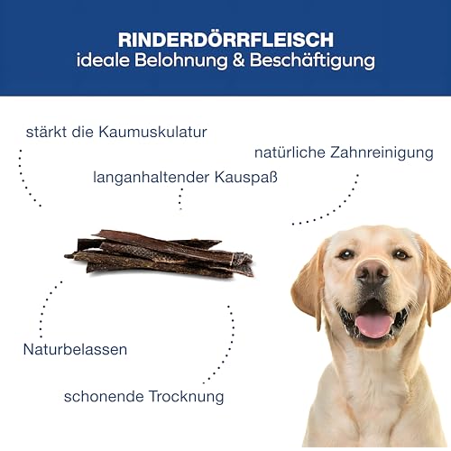 Tiernahrung Schwenner Rinderdörrfleisch für Hunde - 30 cm leckere Kaustangen für Hunde aus Trockenfleisch 1000g