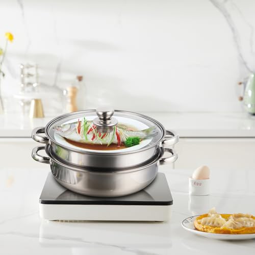 Marmite vapeur inox double chaudière pour cuire sans brûler 27cm