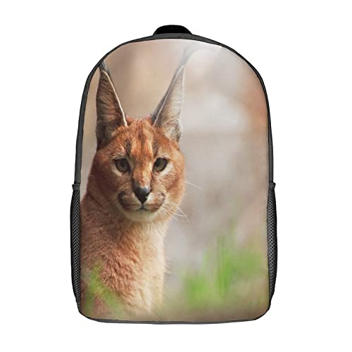 Sac à dos scolaire Caracal décontracté pour les cours et les sorties en ville